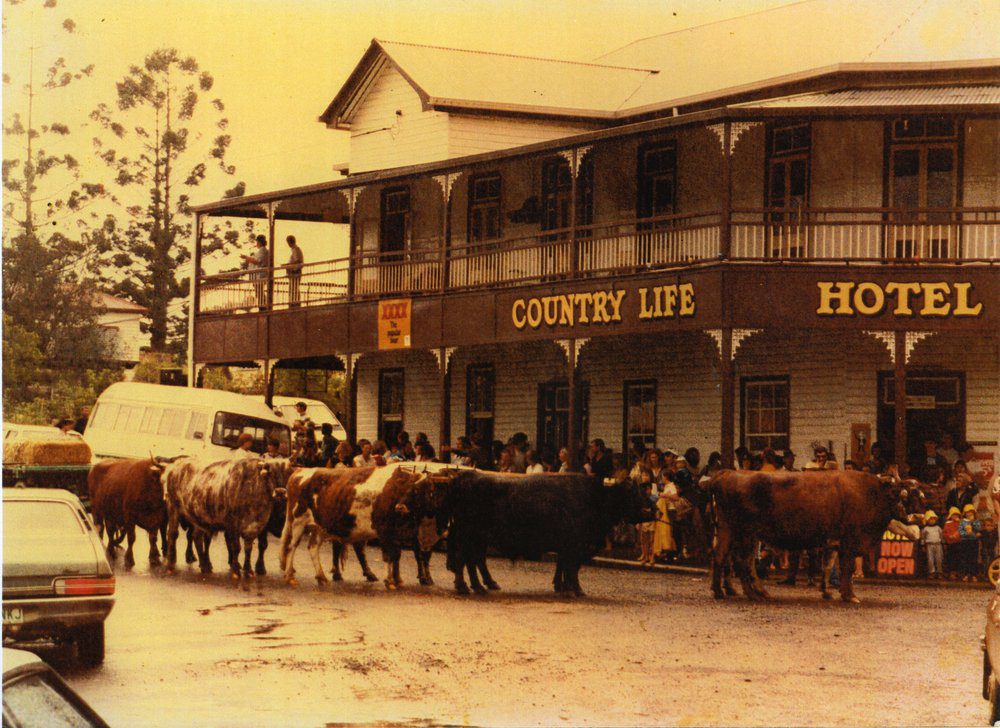 Blog - Mayan Farm Kin Kin