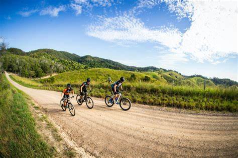 Local experiences - Mayan Farm Kin Kin