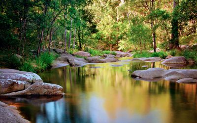 Mothar Mountain Rockpools